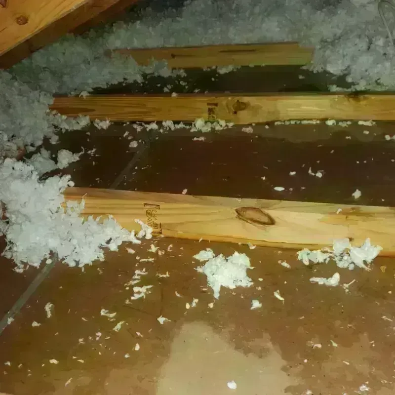 Attic Water Damage in Mangum, OK