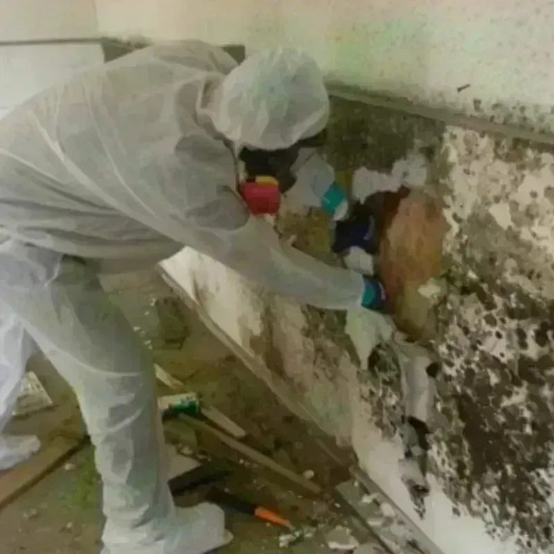 Mold Remediation and Removal in Mangum, OK