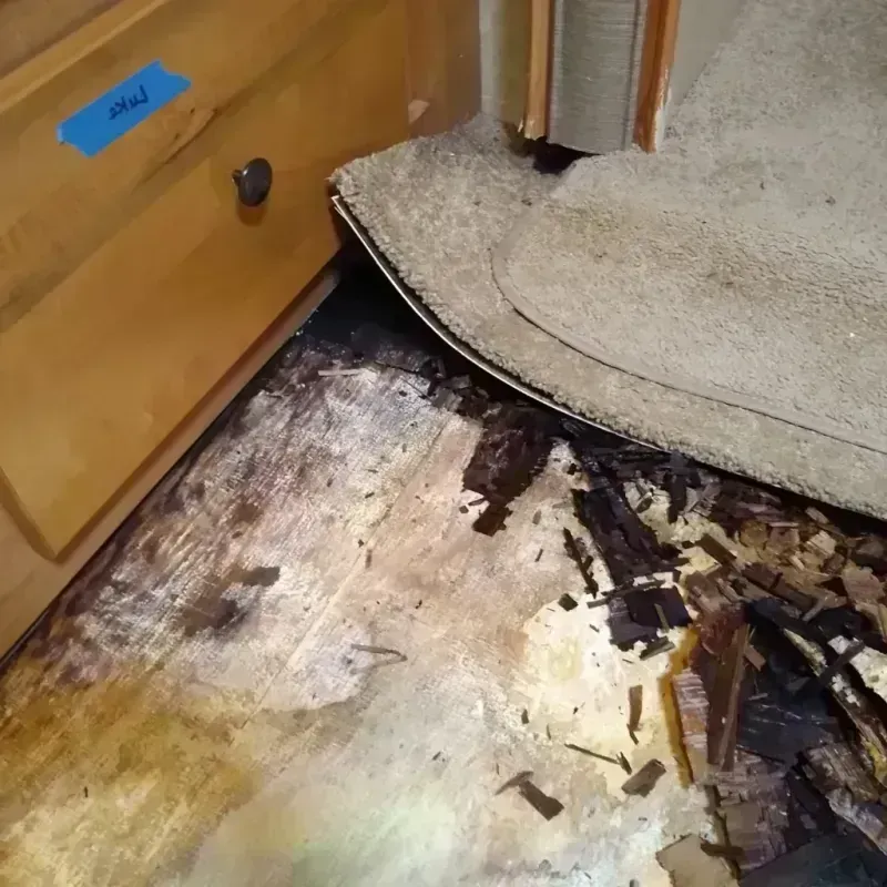 Best Wood Floor Water Damage Service in Mangum, OK